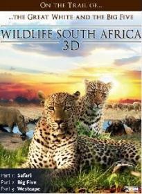 Wildlife South Africa 3D Part 2 Big Five 2012 1080p BluRay x264-PussyFoot[rarbg]