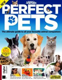 World of Animals - Perfect Pets (2019)