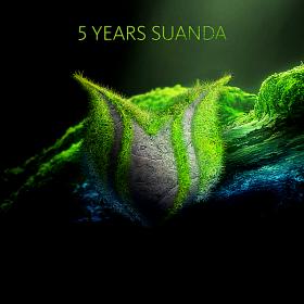 5 Years Suanda (2018)