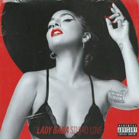 Lady Gaga – Stupid Love Mp3 320kbps [PMEDIA] ⭐