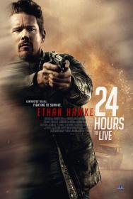 24 Hours to Live 2017 FANSUB VOSTFR WEB-DL XviD-SuWeetTeam