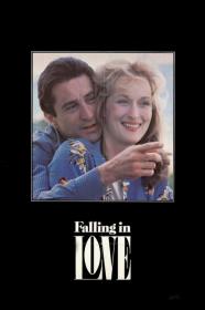 Falling In Love (1984) [720p] [WEBRip] <span style=color:#fc9c6d>[YTS]</span>
