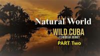 BBC Natural World Wild Cuba A Caribbean Journey Part 2 1080p HDTV x264 AAC