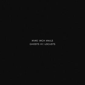 Nine Inch Nails - Ghosts VI Locusts (2020)