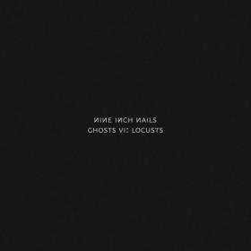 Nine Inch Nails - Ghosts VI_ Locusts (2020) [320]