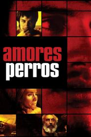 Amores Perros (2000) [1080p] [BluRay] [5.1] <span style=color:#fc9c6d>[YTS]</span>