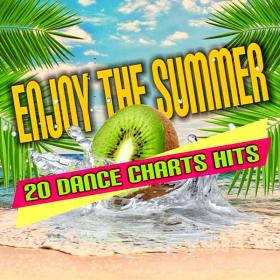 Enjoy The Summer  20 Dance Chart Hits