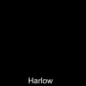 BackroomCastingCouch 20-09-21 Harlow 19 Years Old XXX 1080p MP4-XXX[XvX]