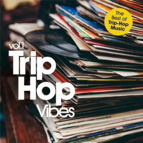 VA - Trip-Hop Vibes Collection MP3