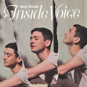 Joey Dosik - Inside Voice (320)