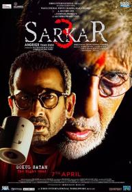 Sarkar 3 (2017) Hindi DVDRip x264 700MB ESubs