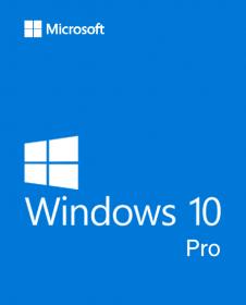 Windows 10 Pro x86 incl Office 2019 [EN-US] NOV 2020 [Pre-Activated]