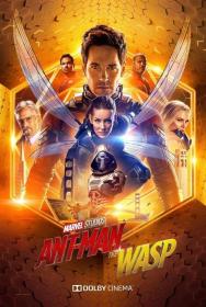 Z - Ant-Man and the Wasp (2018) HDRip - 720p - HQ Line [Telugu + Tamil + Hindi + Eng]