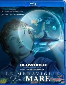 Le Meraviglie Del Mare 2017 DTS ITA ENG 1080p BluRay x264-BLUWORLD