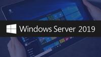 Microsoft Windows Server Standard Datacenter 2019 64Bit RTM 1809 Build 17763 1 ITA-[WEB]