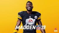 Madden NFL 19<span style=color:#fc9c6d>-CODEX</span>