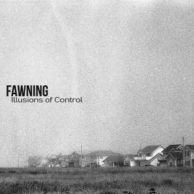 (2021) Fawning - Illusions of Control [FLAC]