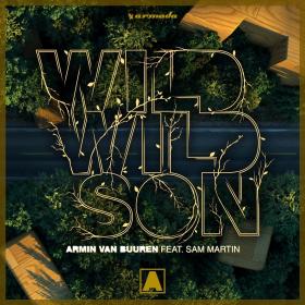 Armin van Buuren - Wild Wild Son (feat  Sam Martin)
