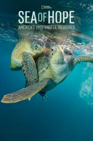 Sea Of Hope Americas Underwater Treasures (2017) [1080p] [WEBRip] [5.1] <span style=color:#fc9c6d>[YTS]</span>