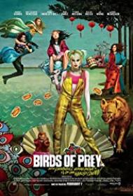Birds of Prey And the Fantabulous Emancipation of One Harley Quinn 2020 BRRip XviD<span style=color:#fc9c6d> B4ND1T69</span>