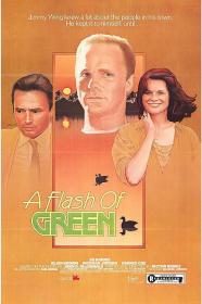 A Flash of Green 1984 1080p AMZN WEBRip DDP2.0 x264<span style=color:#fc9c6d>-NOGRP</span>