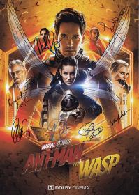 SkyMoviesHD org _-_ Ant Man and the Wasp 2018 FRENCH BDRip XviD<span style=color:#fc9c6d>-EXTREME</span>