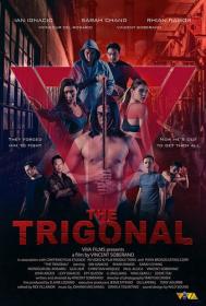 The Trigonal Fight for Justice 2018 720p FRENCH WEBRip x264-CZ530