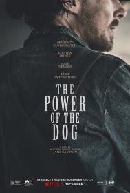 The Power of the Dog 2021 WEB-DL 2160p HDR<span style=color:#fc9c6d> seleZen</span>