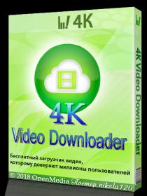 4K Video Downloader 4 4 9 2332