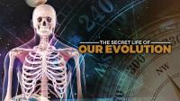 The Secret History of our Evolution Series 1 1of2 Underwater 1080p HDTV x264 AAC