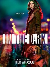 In the Dark 2019 S02 FRENCH WEB-DL XviD-T911