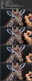 [ CourseWikia com ] Acrylic Marker Giraffe Drawing - How to draw an animal with Paint Pens