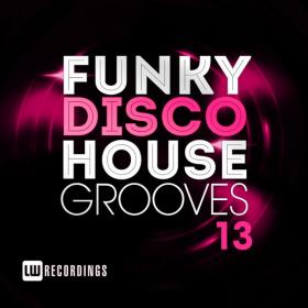 VA-Funky_Disco_House_Grooves_Vol_13-_LWFDHG13_-WEB-2018-BF