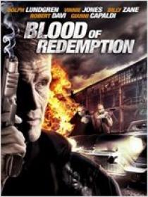 Blood Of Redemption 2013 FRENCH DVDRiP XViD<span style=color:#fc9c6d>-STVFRV</span>