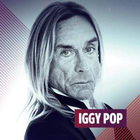 Iggy Pop - Discography [FLAC Songs] [PMEDIA] ⭐️