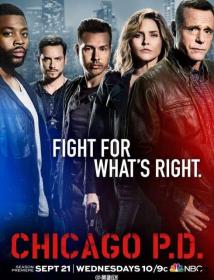 Chicago P.D. S04 FRENCH HDTV XViD<span style=color:#fc9c6d>-EXTREME</span>
