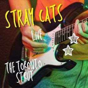 Stray Cats - Stray Cats Live_ The Toronto Strut (2022) Mp3 320kbps [PMEDIA] ⭐️