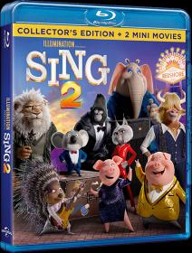 Sing 2 2021 RUS BDRip x264 <span style=color:#fc9c6d>-HELLYWOOD</span>