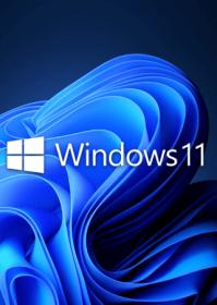 Windows 11 Pro 21H2 Build 22000 556 (No TPM Required) Multilingual Pre-Activated