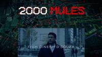 2000 Mules Documentary 2022  Las Vegas Live Intro [Full] Q&A x264 720