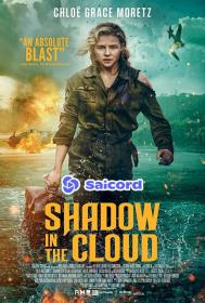 Shadow In The Cloud (2020) [Hindi Dub] 400p WEB-DLRip Saicord
