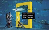 Wonders of the Ocean S01 720p DSNP WEBRip DDP5.1 x264<span style=color:#fc9c6d>-NTb[rartv]</span>