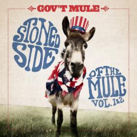 Gov't Mule - Stoned Side Of The Mule, Vol 1 & 2 (2022) Mp3 320kbps [PMEDIA] ⭐️