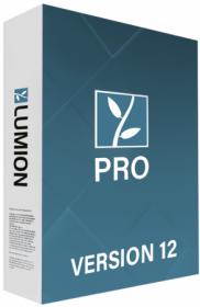 Lumion Pro 12 0 (x64) Multilingual [FileCR]