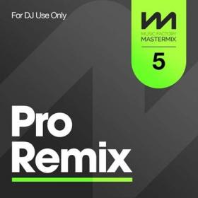 Mastermix Pro Remix 5 (2022)