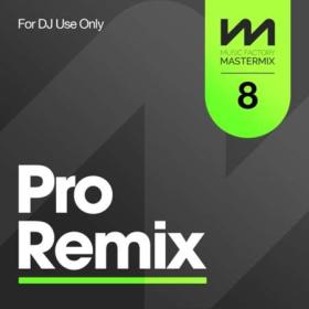 Mastermix Pro Remix 8 (2022)