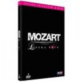 Mozart L'opera Rock 2010 PROPER FRENCH DVDRiP XviD-FReSh