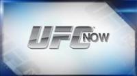 UFC Now 2018-11-18 720p WEB-DL H264 Fight-BB