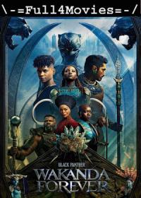 Black Panther Wakanda Forever (2022) 480p ORG Hindi Pre-DVDRip x264 AAC DDP2.0 <span style=color:#fc9c6d>By Full4Movies</span>