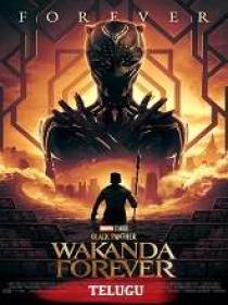 Black Panther Wakanda Forever (2022) Telugu DVDScr x264 AAC 400MB